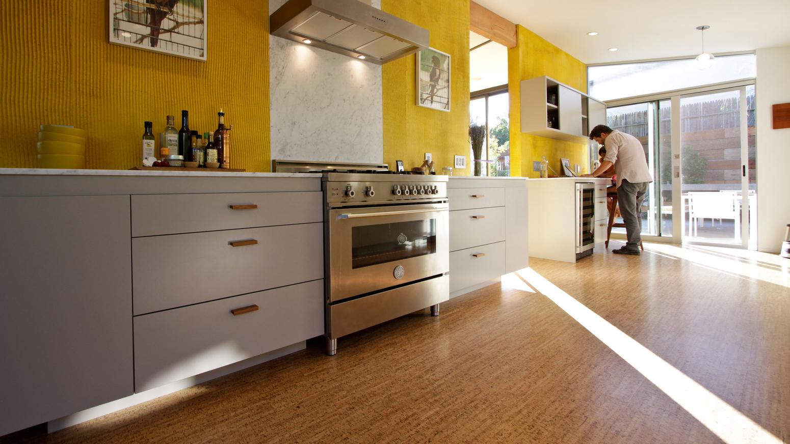 California Mid-century Modern in Los Feliz