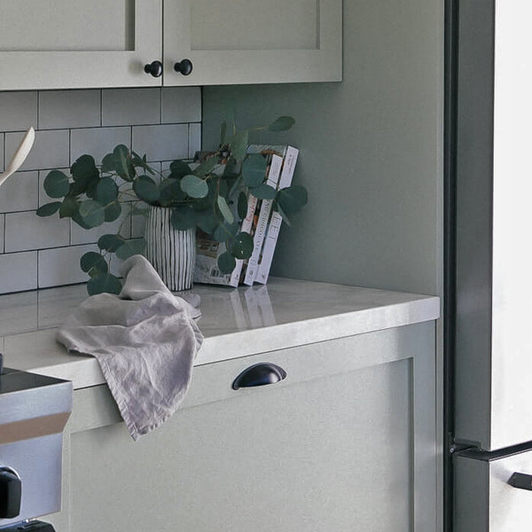 Appliance Panels for your kitchen?