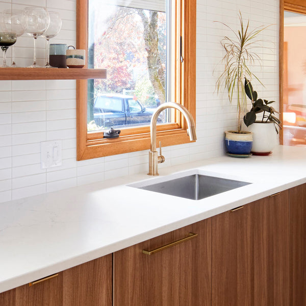 Appliance Panels for your kitchen?