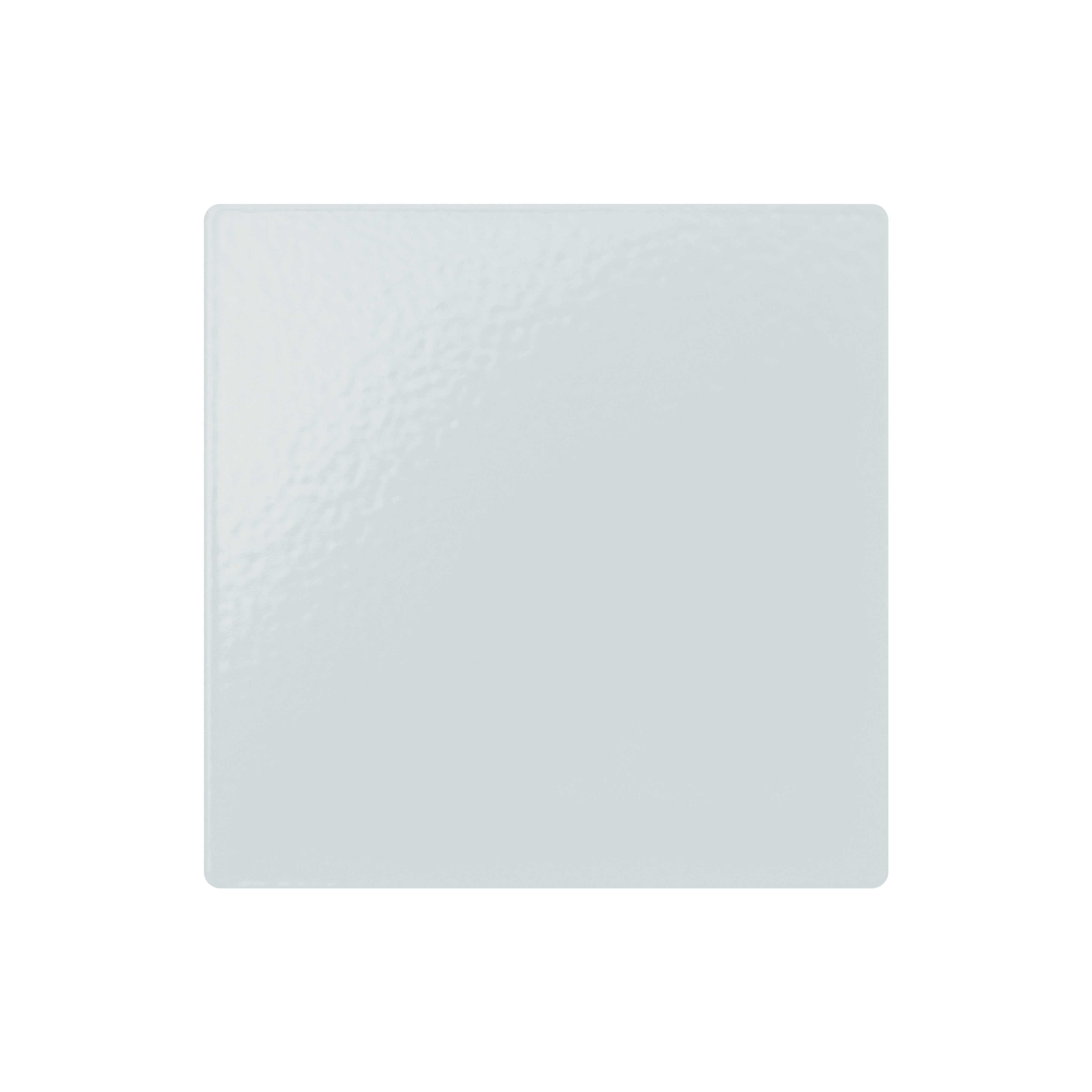 3-in x 3-in Metal Sample by Shelfology Agave